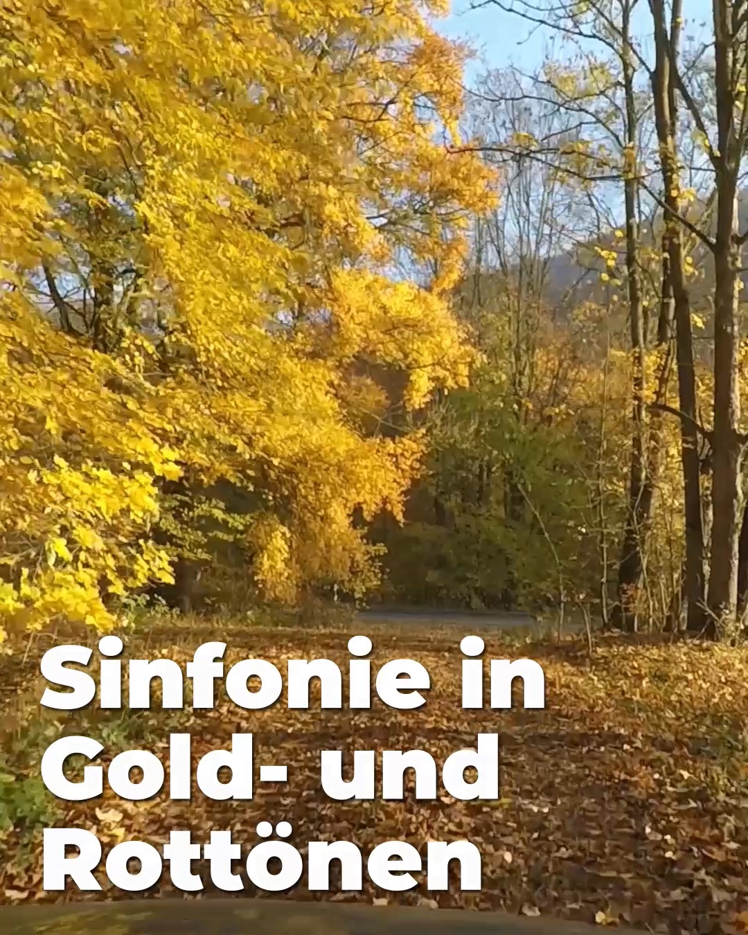 Herbst in Stolberg, kommt mit auf einen Rundgang durch unsere gemütliche Herbst Stadt.